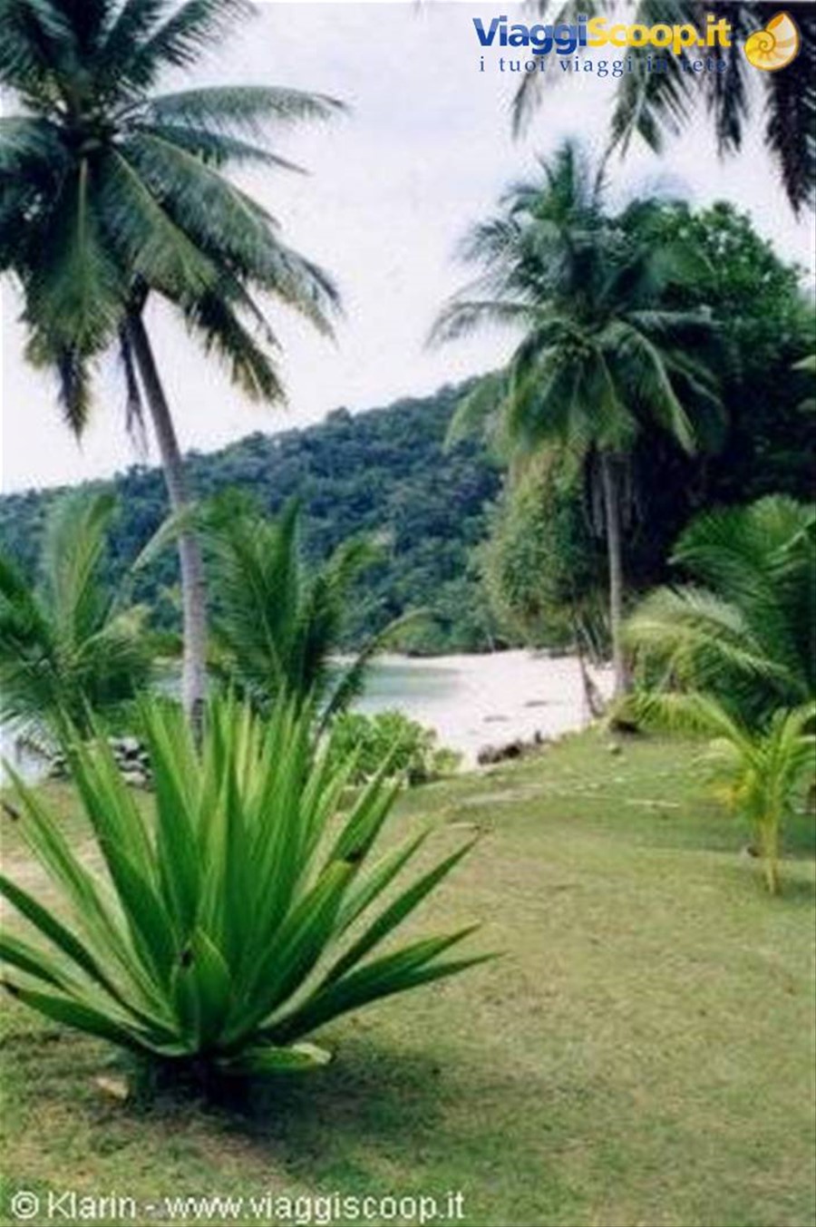 Sibu