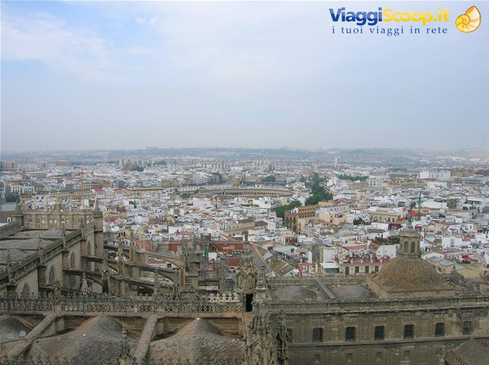 dalla giralda una veduta di Siviglia