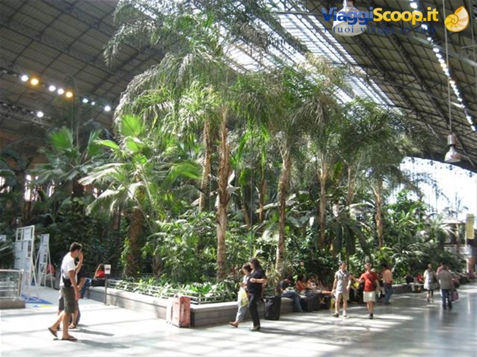 madrid stazione atocha
