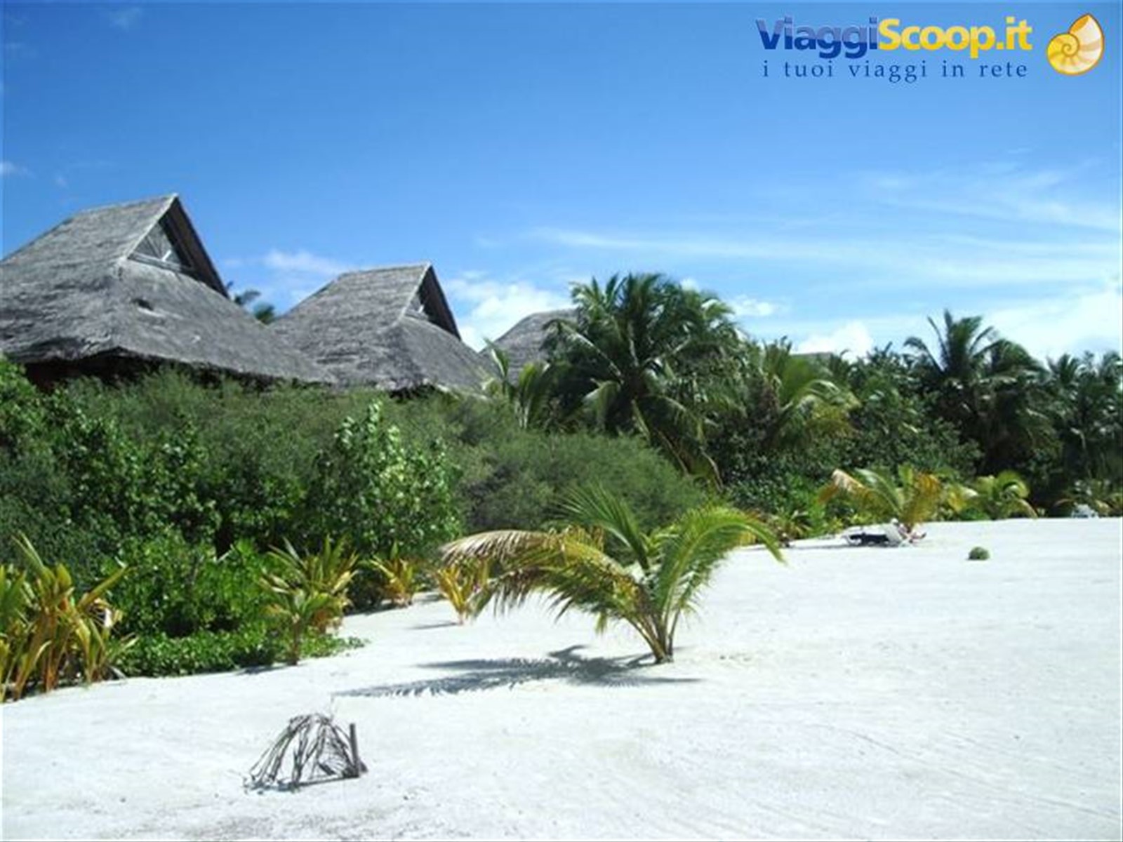 il nostro bungalow sulla spiaggia