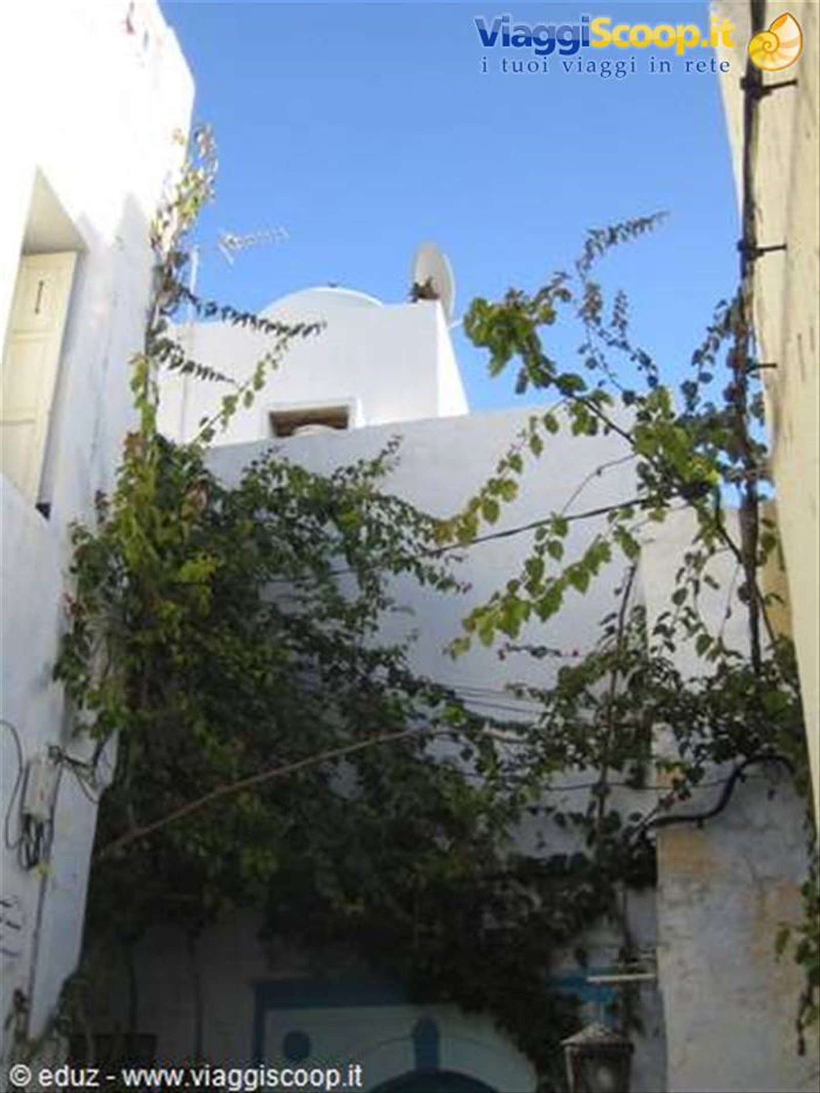Hammamet