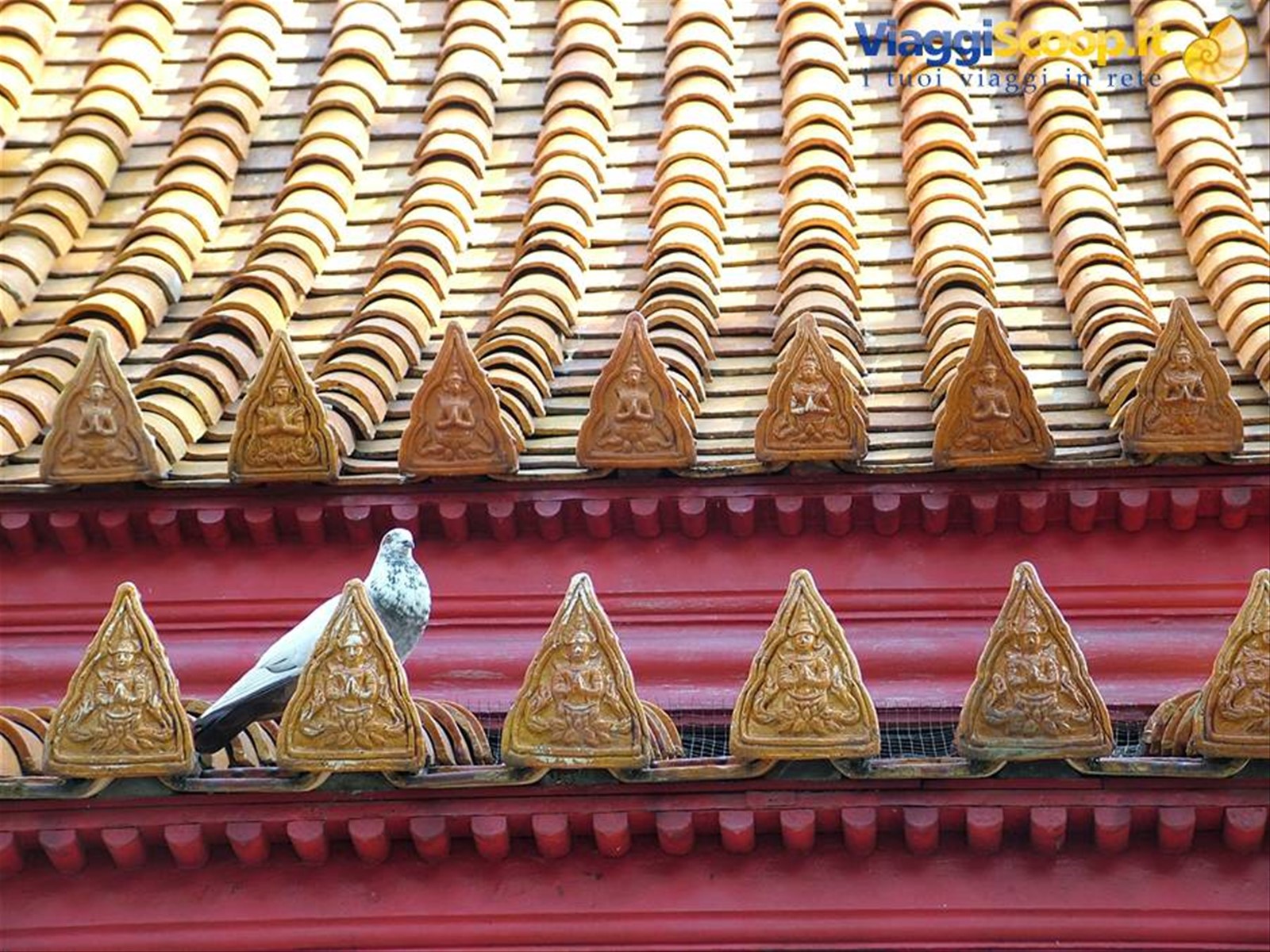 Foto di viaggio in TAILANDIA