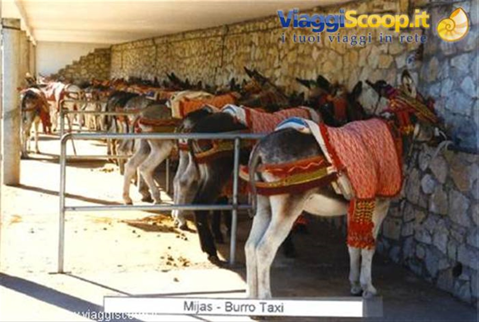 Mijas - Burro Taxi