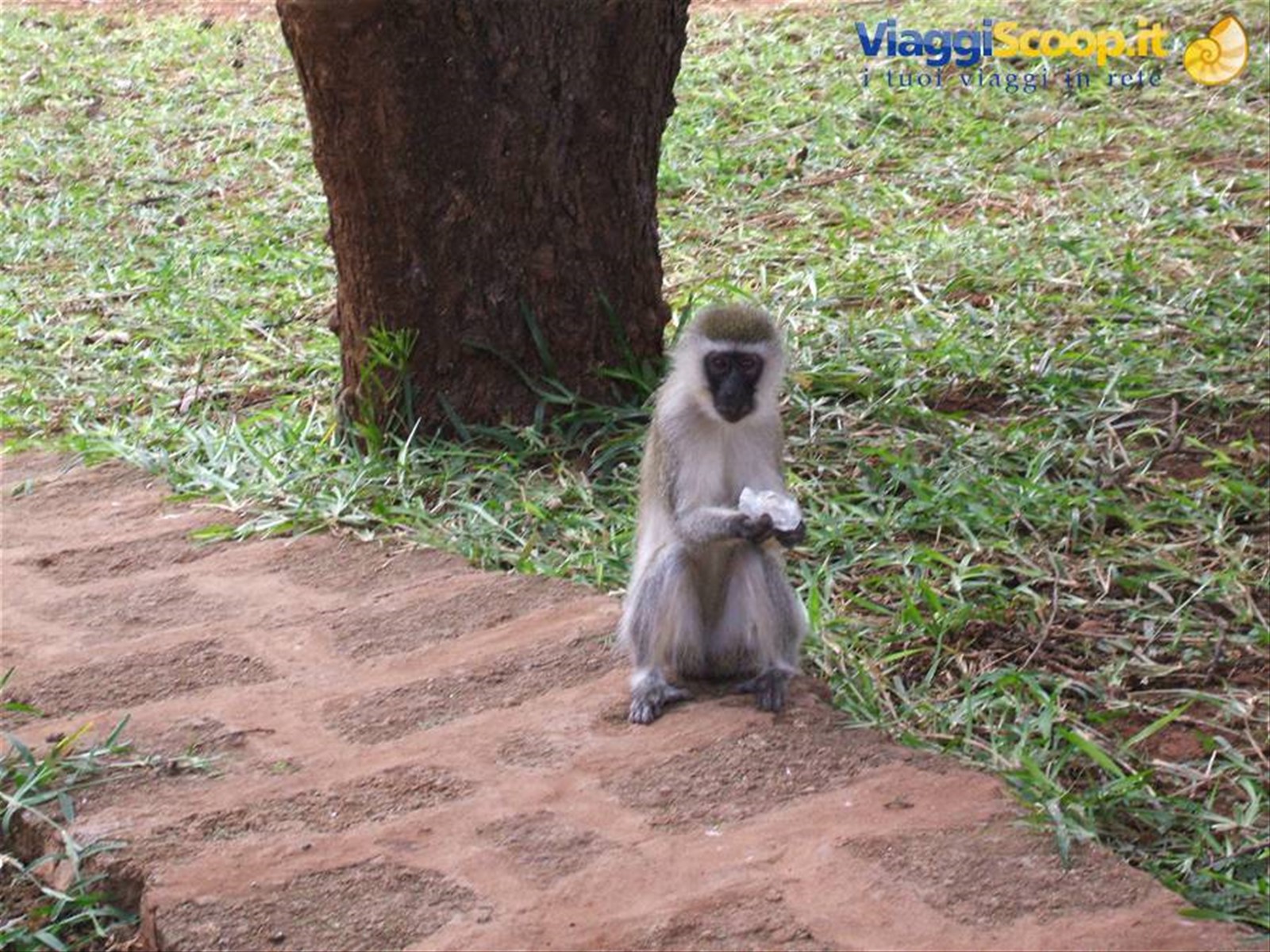 Foto di viaggio in KENYA