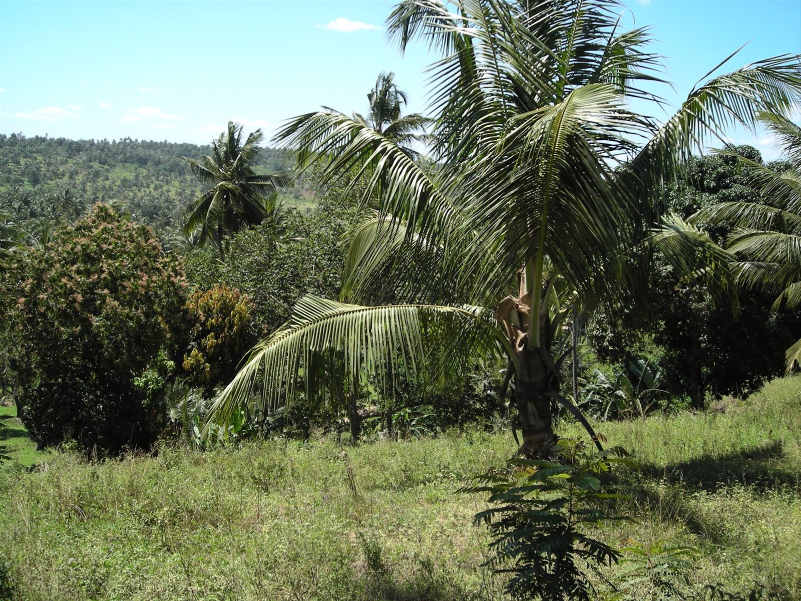 Foto di viaggio in KENYA