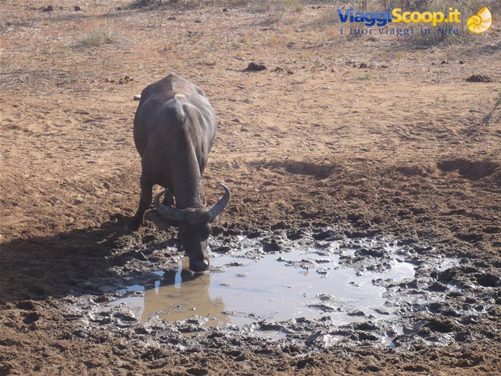 Foto di viaggio in KENYA