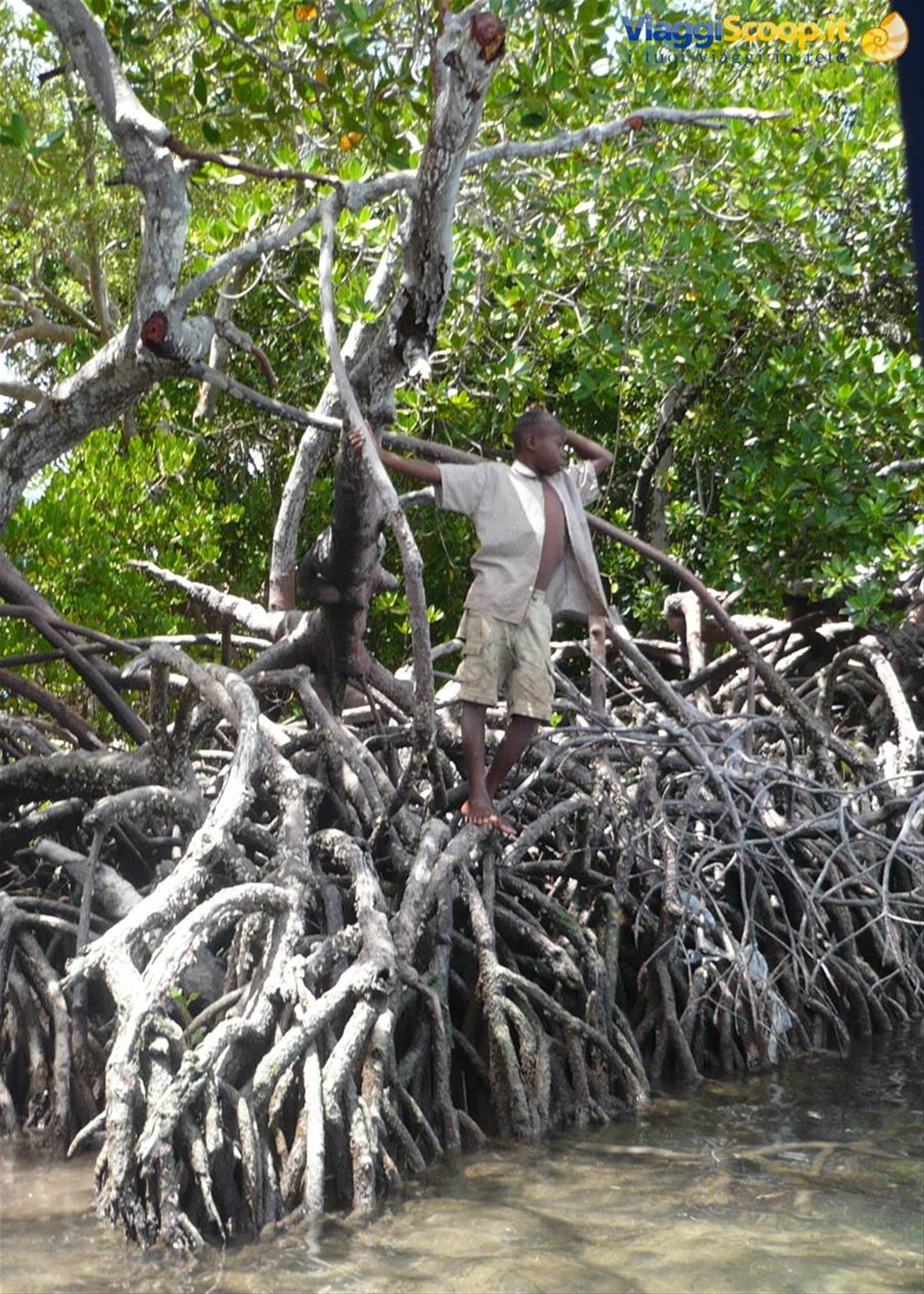 Foto di viaggio in KENYA