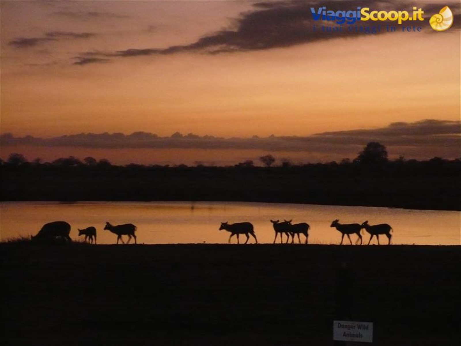 Foto di viaggio in KENYA