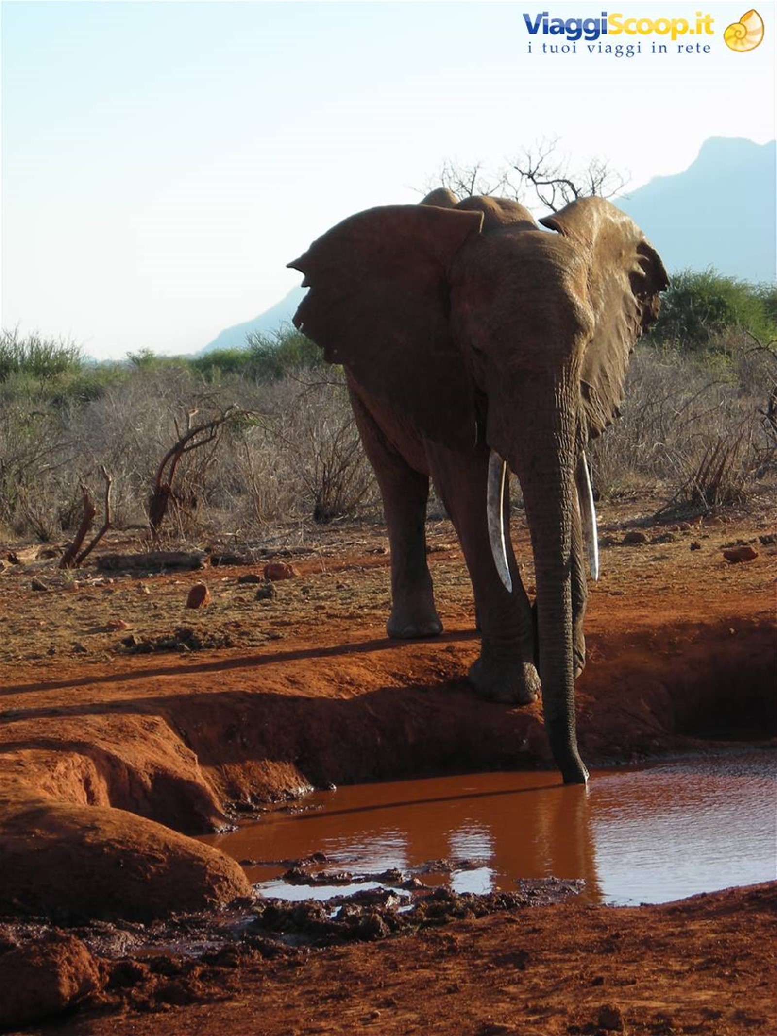 Foto di viaggio in KENYA