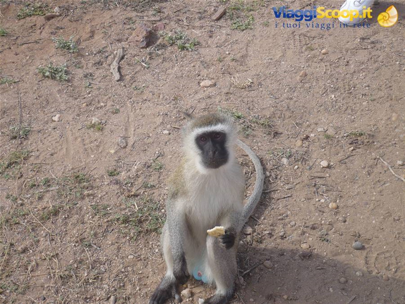 Foto di viaggio in KENYA
