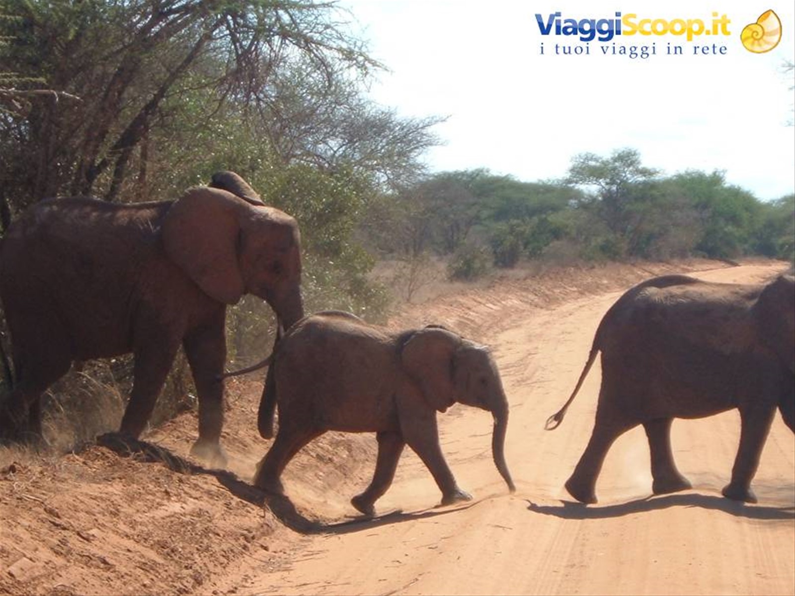 Foto di viaggio in KENYA