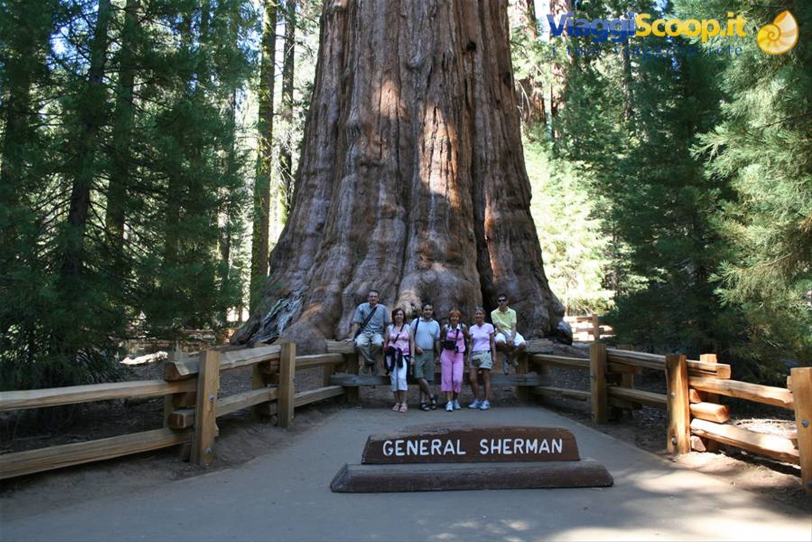 foto di gruppo sotto al general sherman's tree