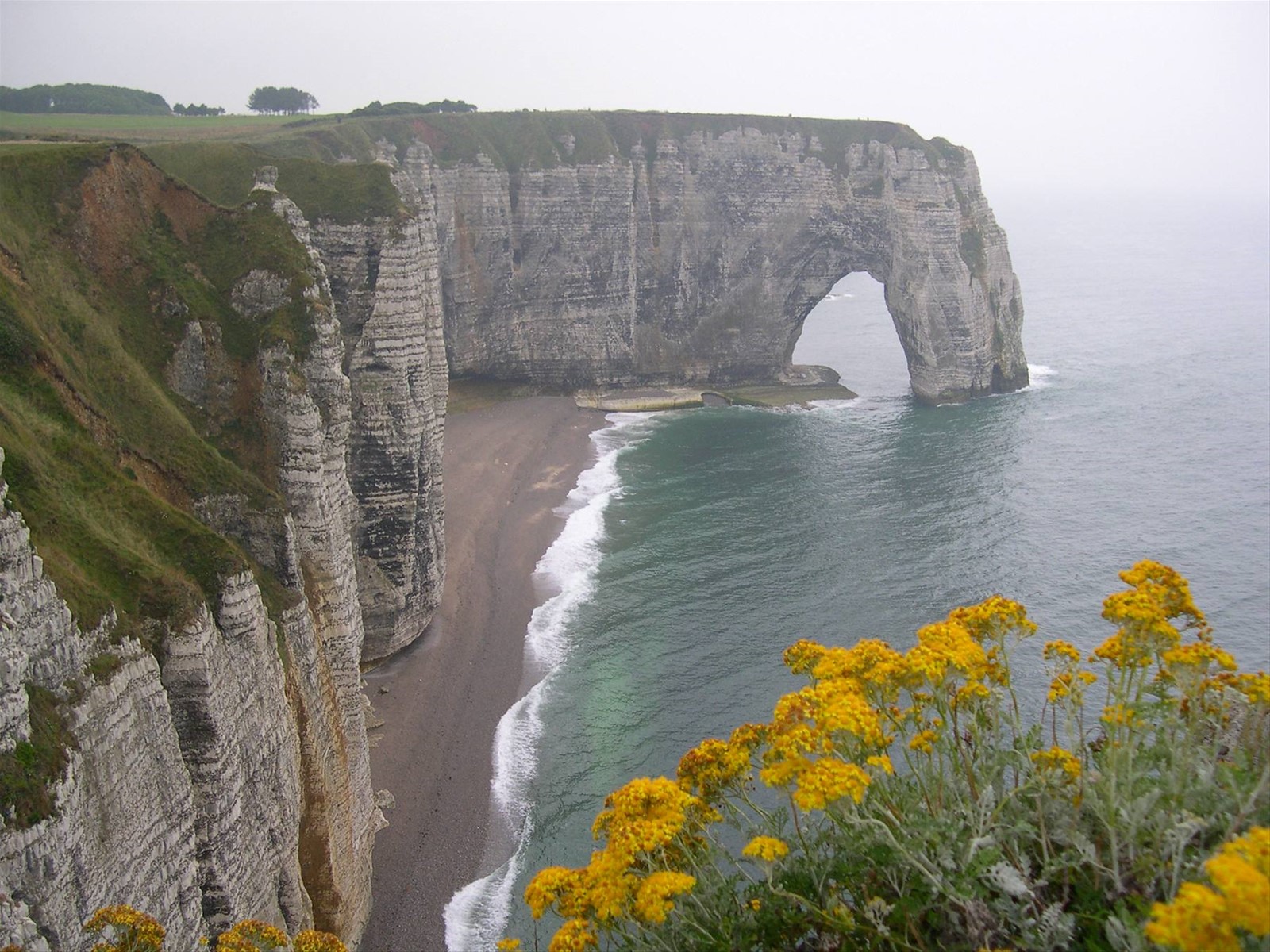 SCORCIO DI UN TRATTO DI SCOGLIERA PRESSO ETRETAT (ALTA NORMANDIA)