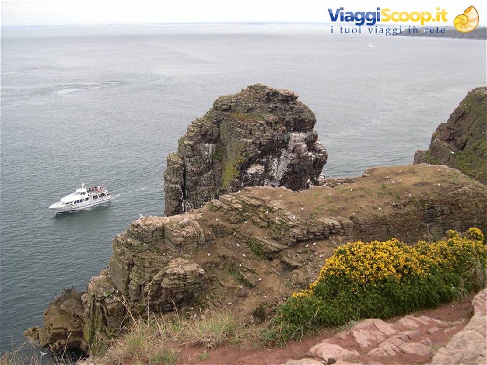 PANORAMI ECCEZIONALI DA CAP FREHEL (BRETAGNA)