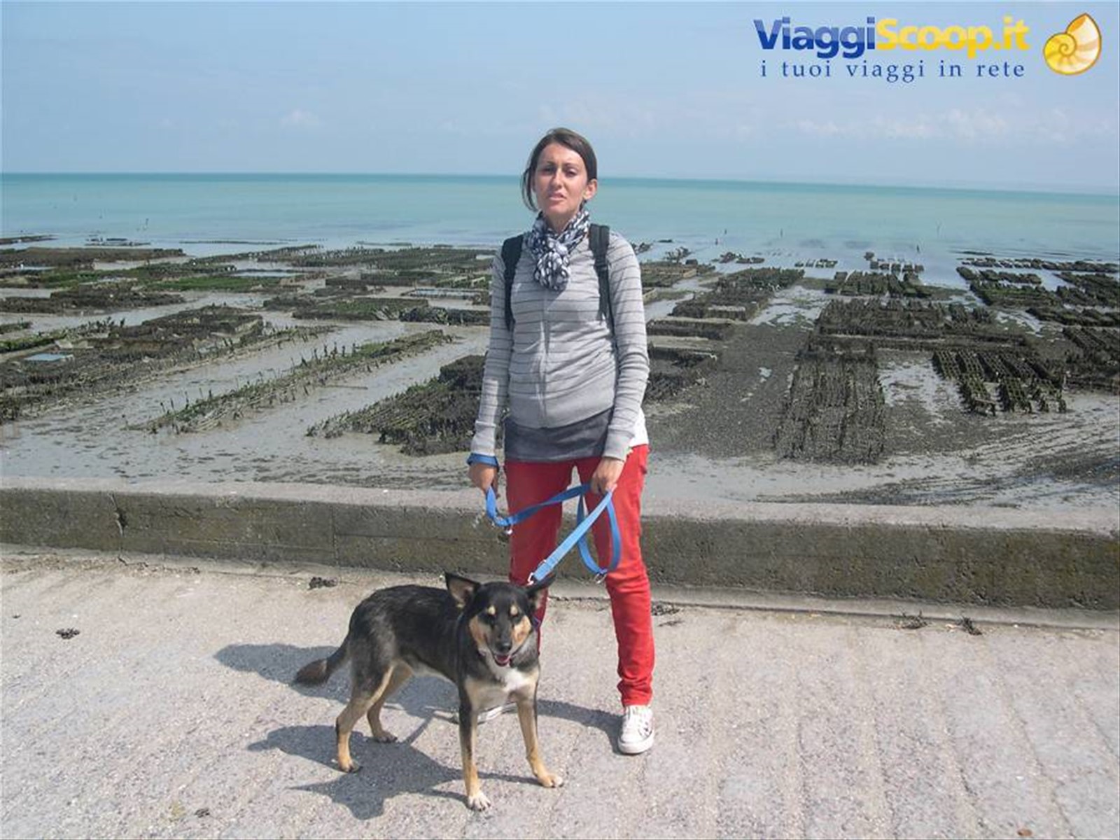 I MIEI MITICI COMPAGNI DI AVVENTURA, E SULLO SFONDO ALLEVAMENTI DI OSTRICHE (BRETAGNA)