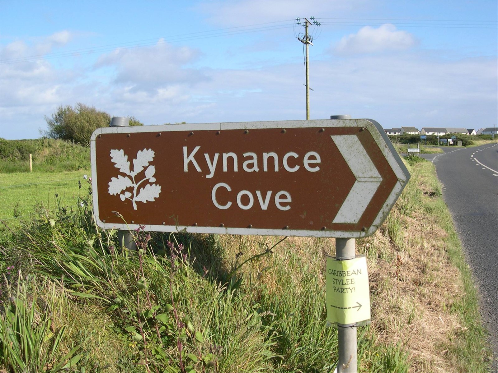 KYNANCE COVE . . . LA SCOGLIERA PIU' BELLA IN CORNOVAGLIA