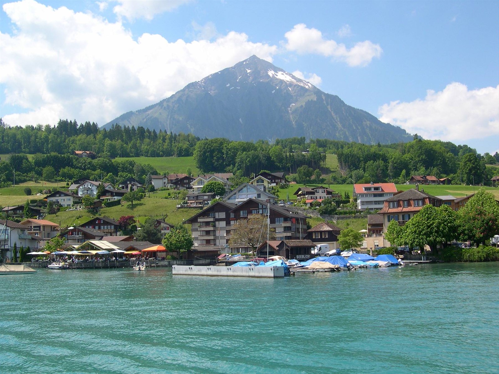 PAESAGGI MOZZAFIATO DAL LAGO THUNERSEE