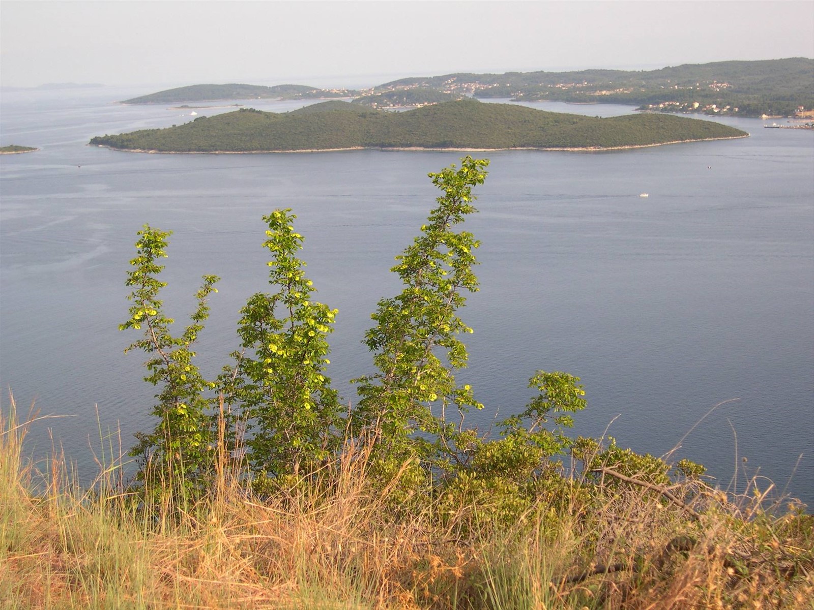 ISOLE DAVANTI A OREBIC