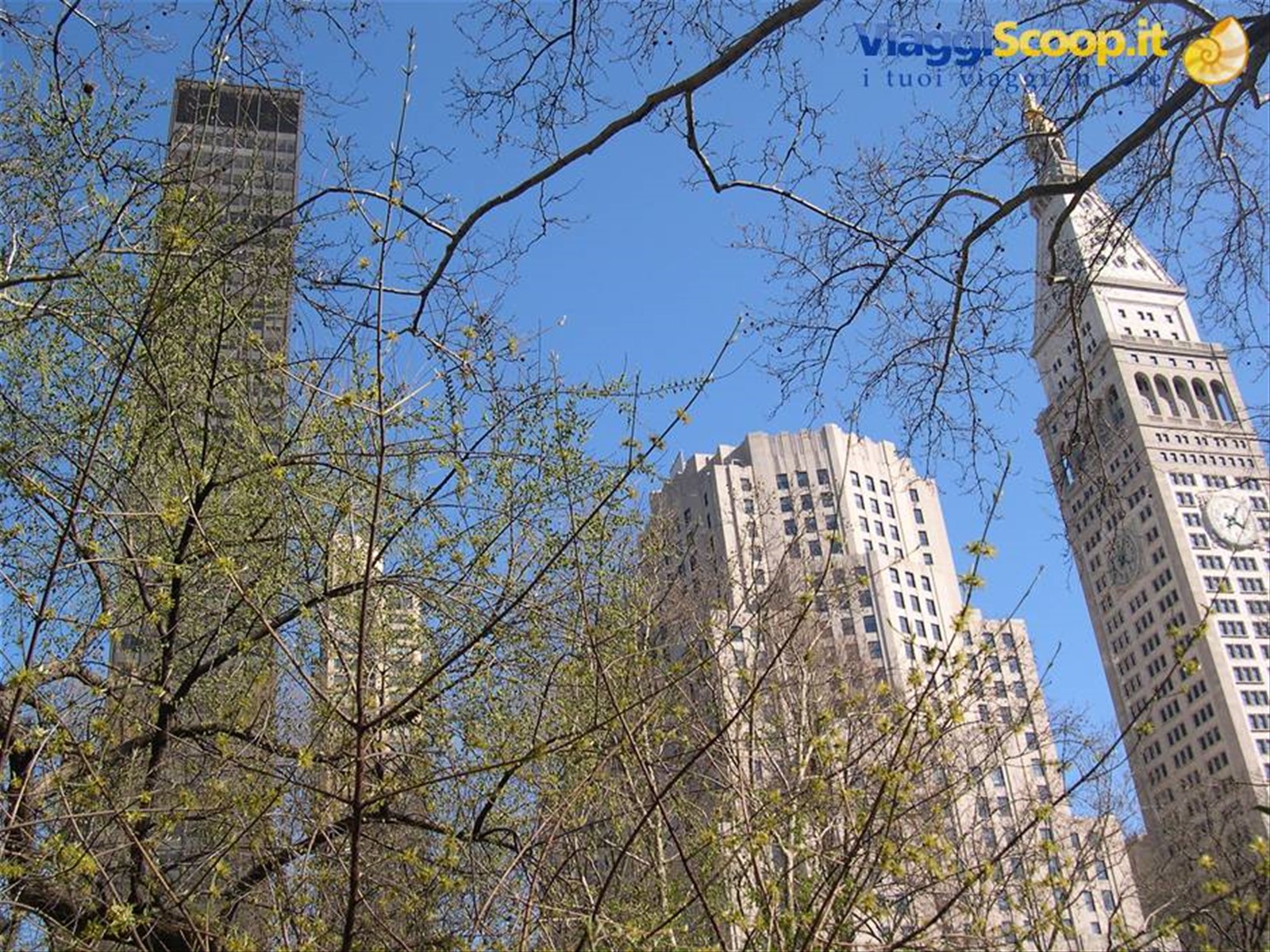 PANORAMA DAL CENTRAL PARK