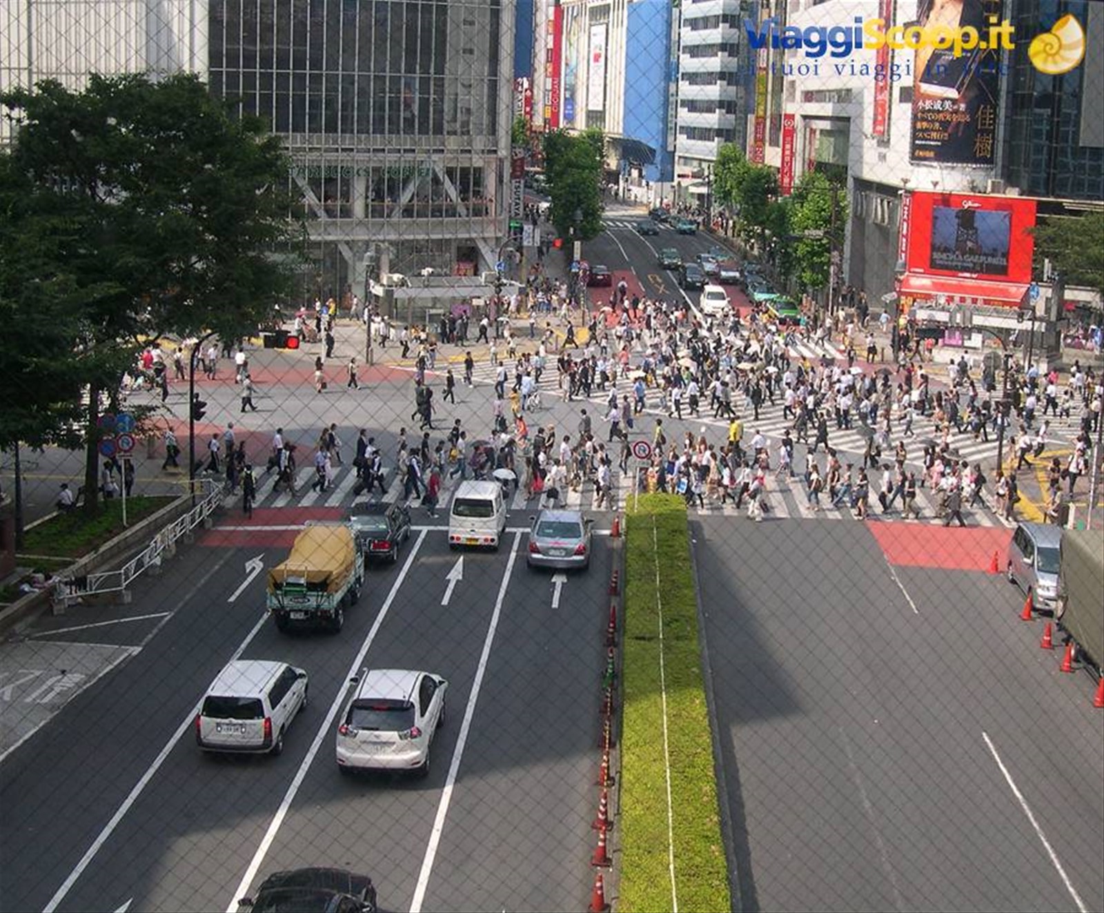 IL FAMOSO INCORCIO DI SHIBUYA
