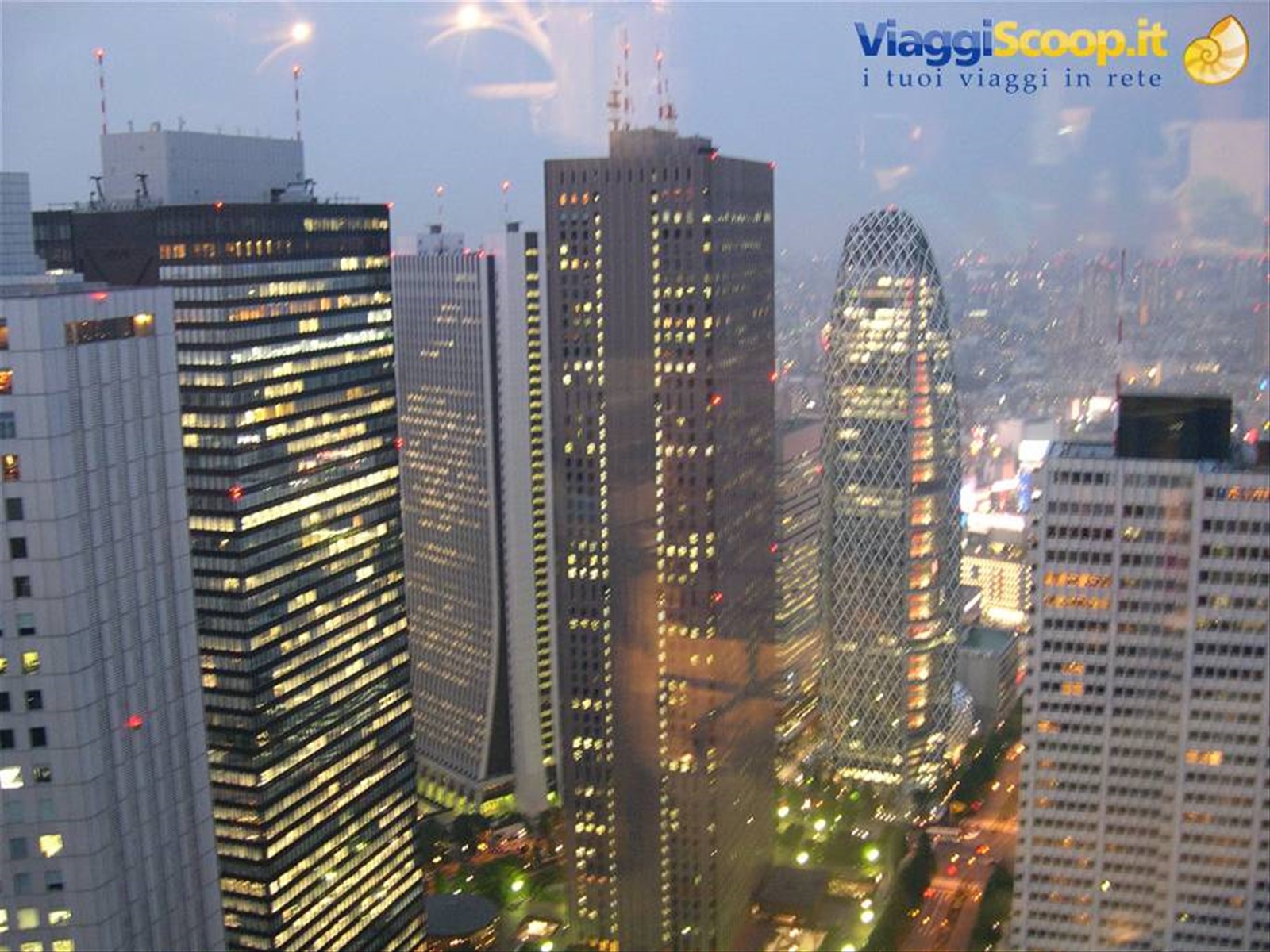 VISTA DAL TOKYO METROPOLITAN GOVERNMENT BUILDING