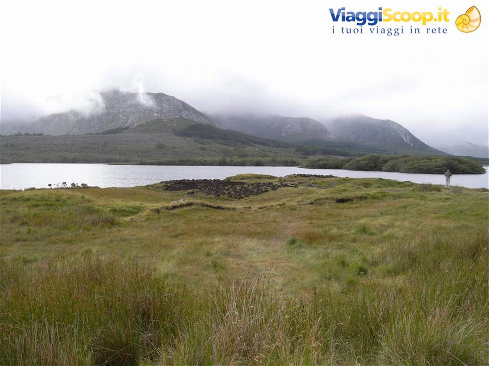 CONNEMARA