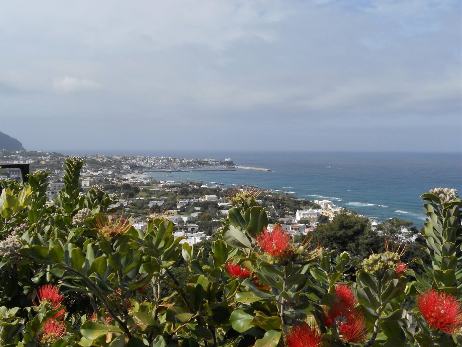 FORIO D'ISCHIA