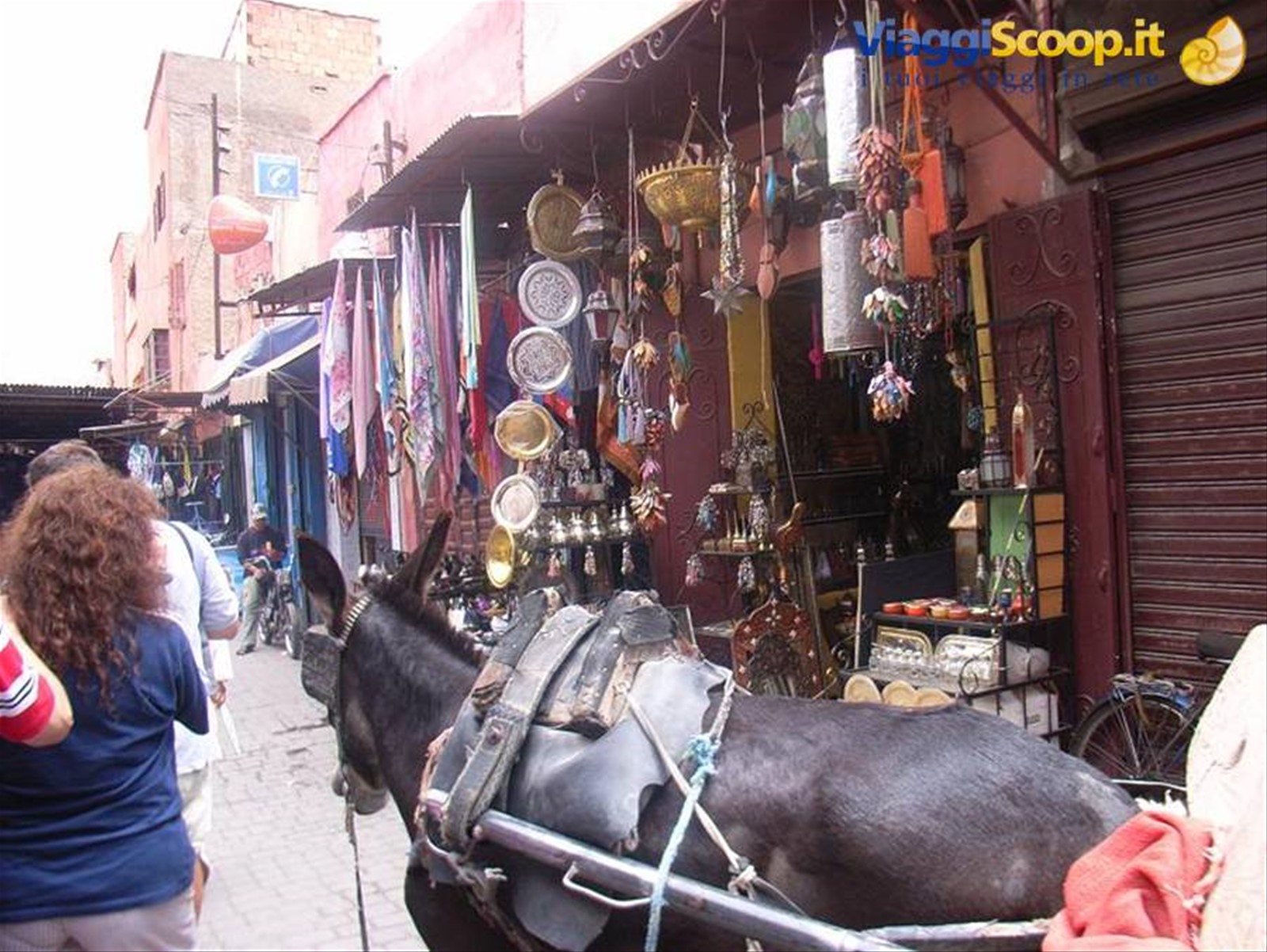 MARRAKECH - SOUK