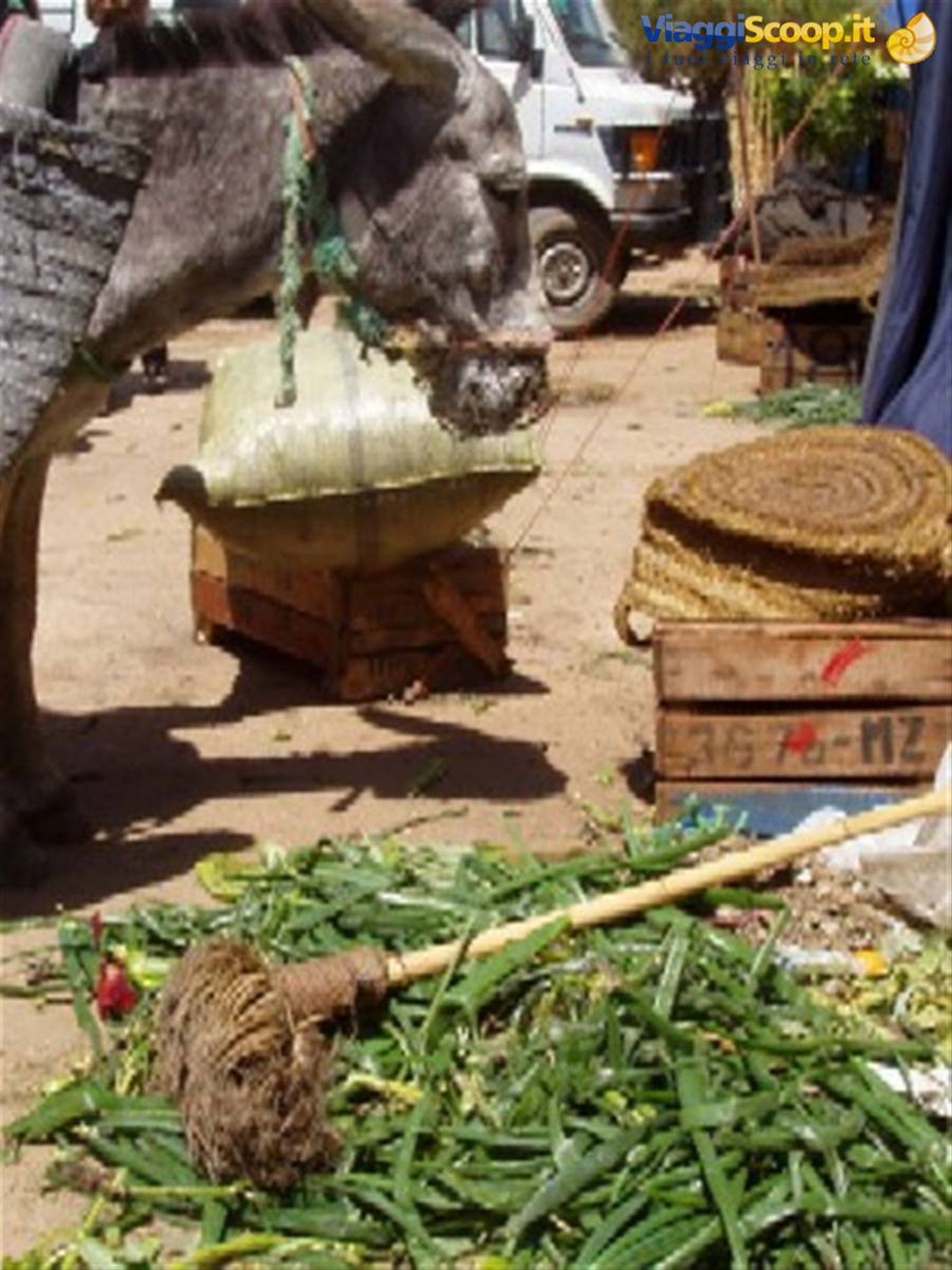 Foto di viaggio in MAROCCO