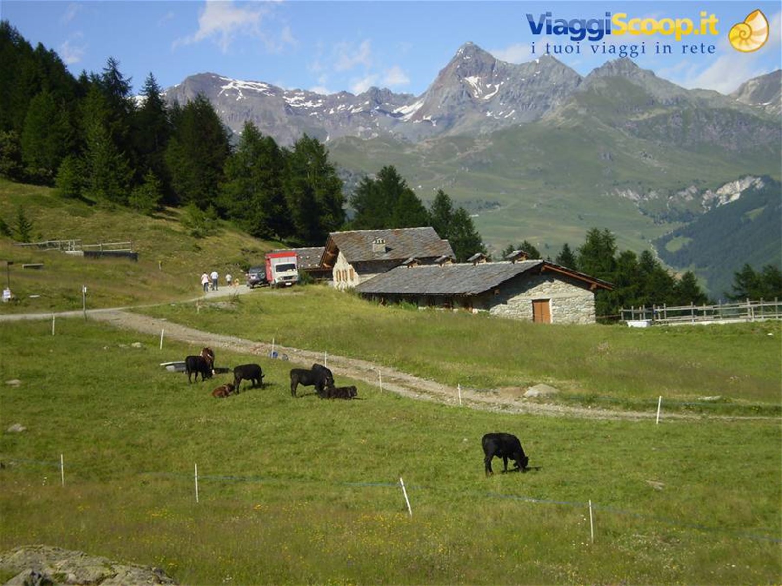azienda agricola