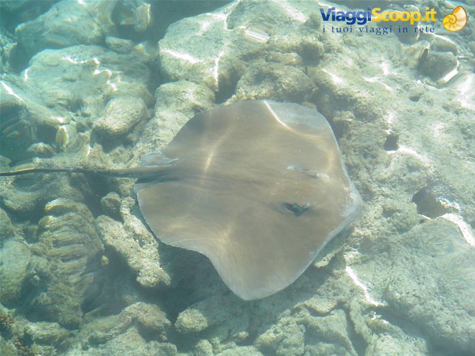 rangiroa