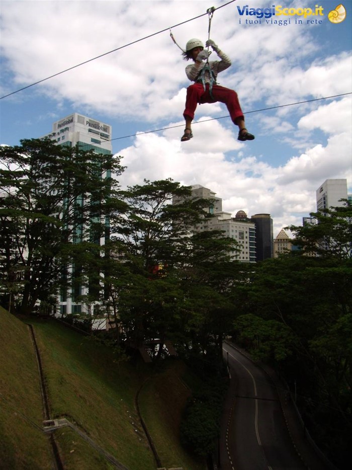 wheeeeeee