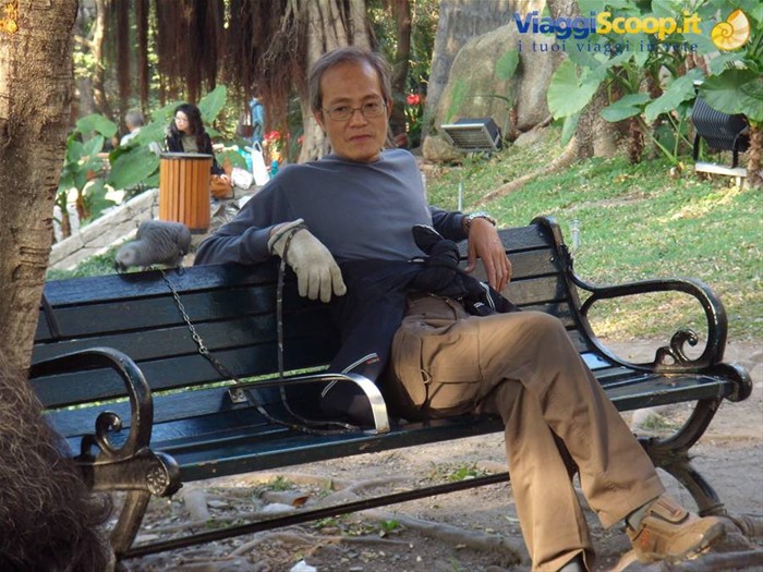 Al parco con il pappagallo a passeggio...