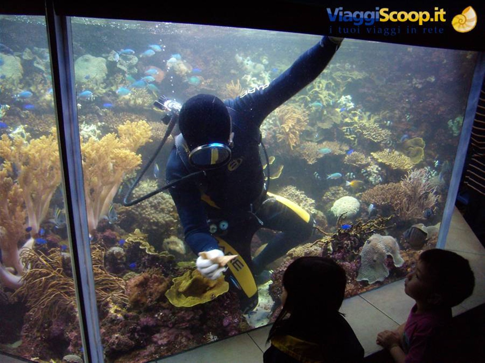 Singapore - Ocean Park