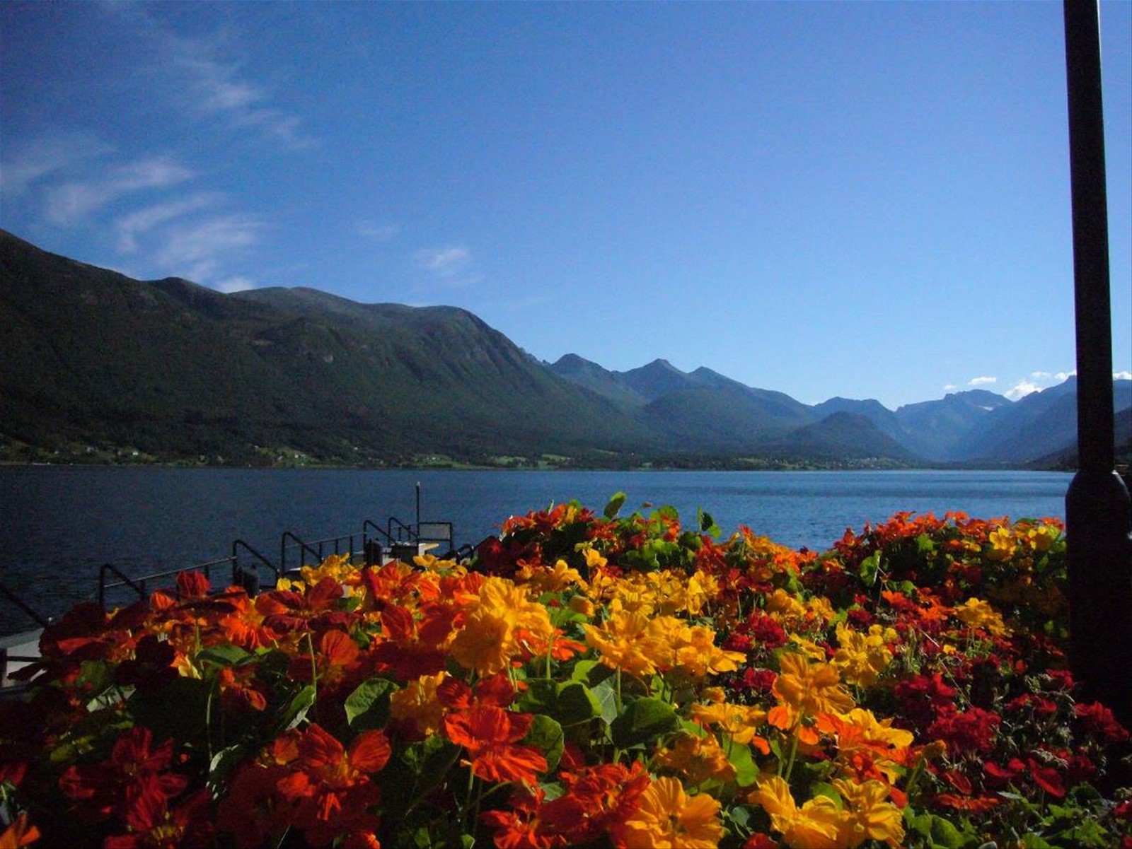 Norvegia