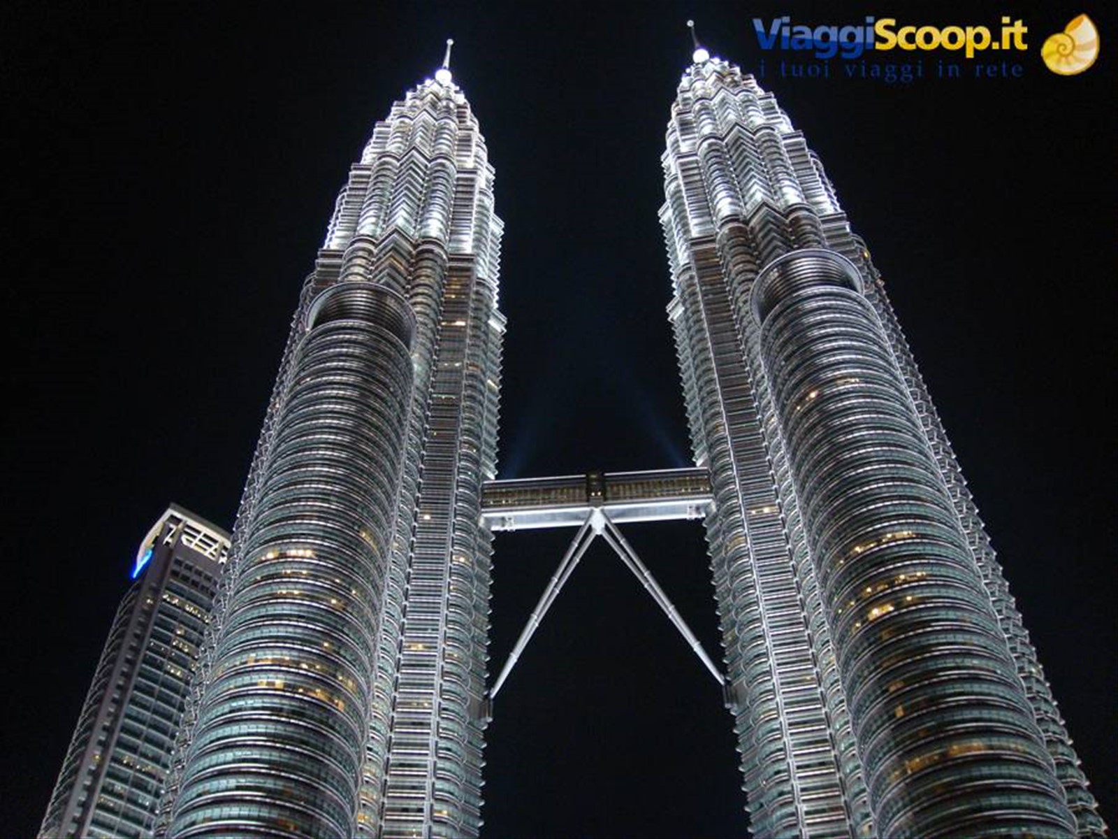 Petronas Tower by night