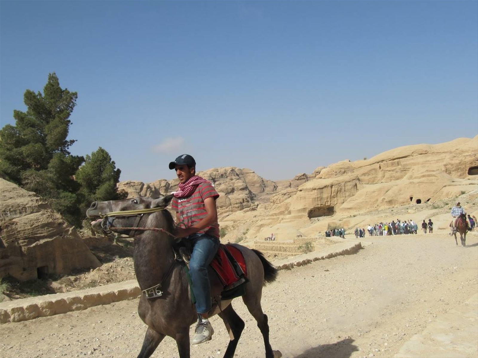 mezzo di trasporto nel Wadi Musa