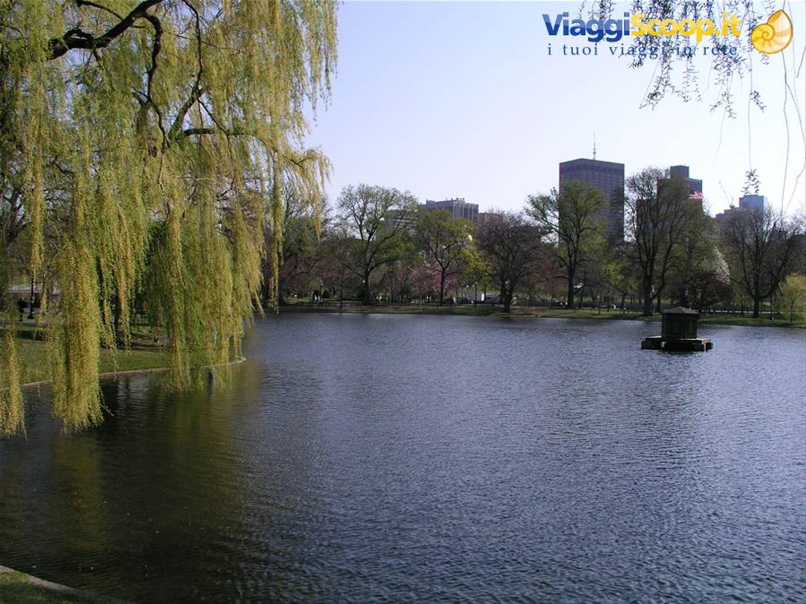 Boston Common