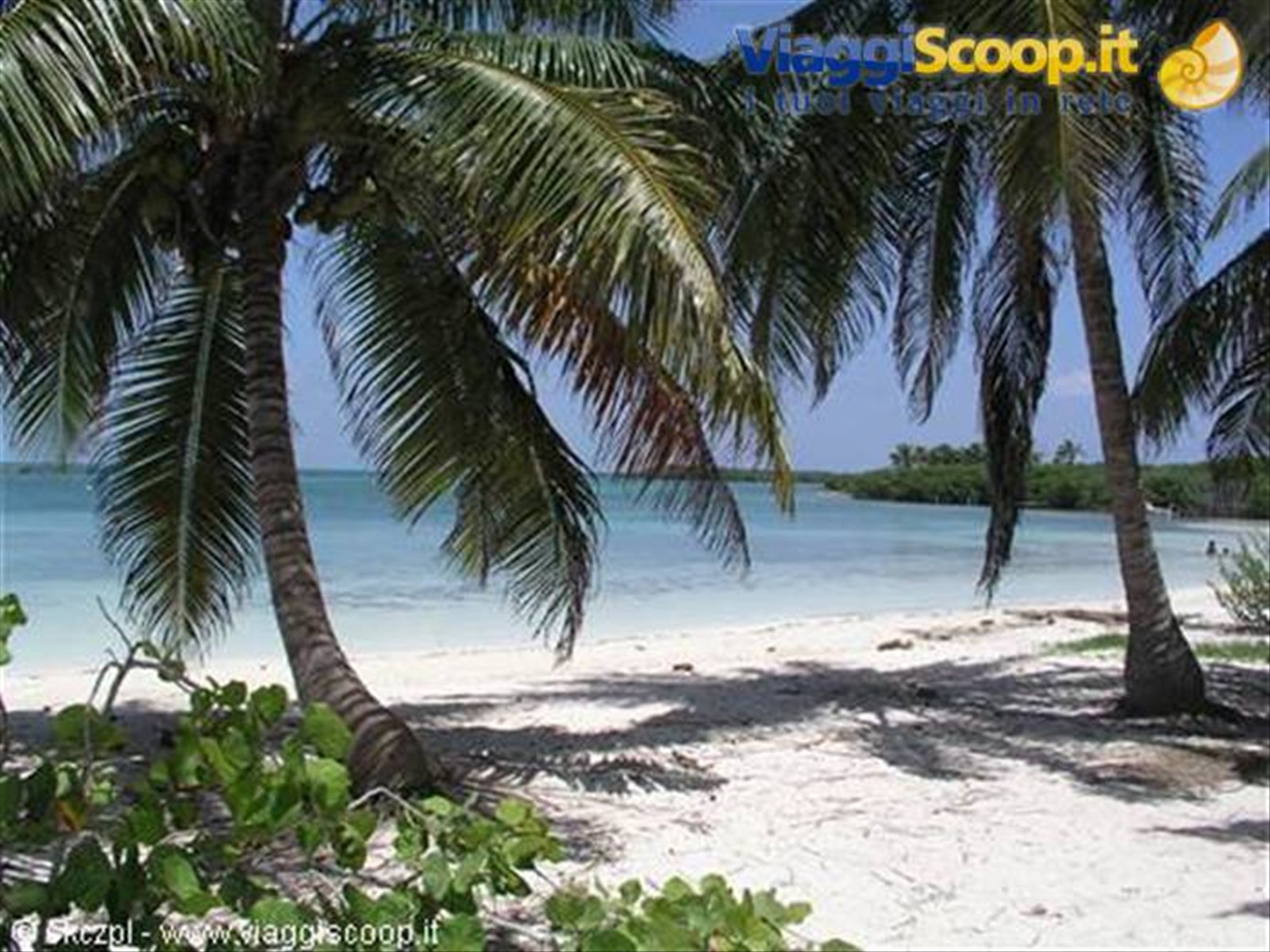 Isla Contoy