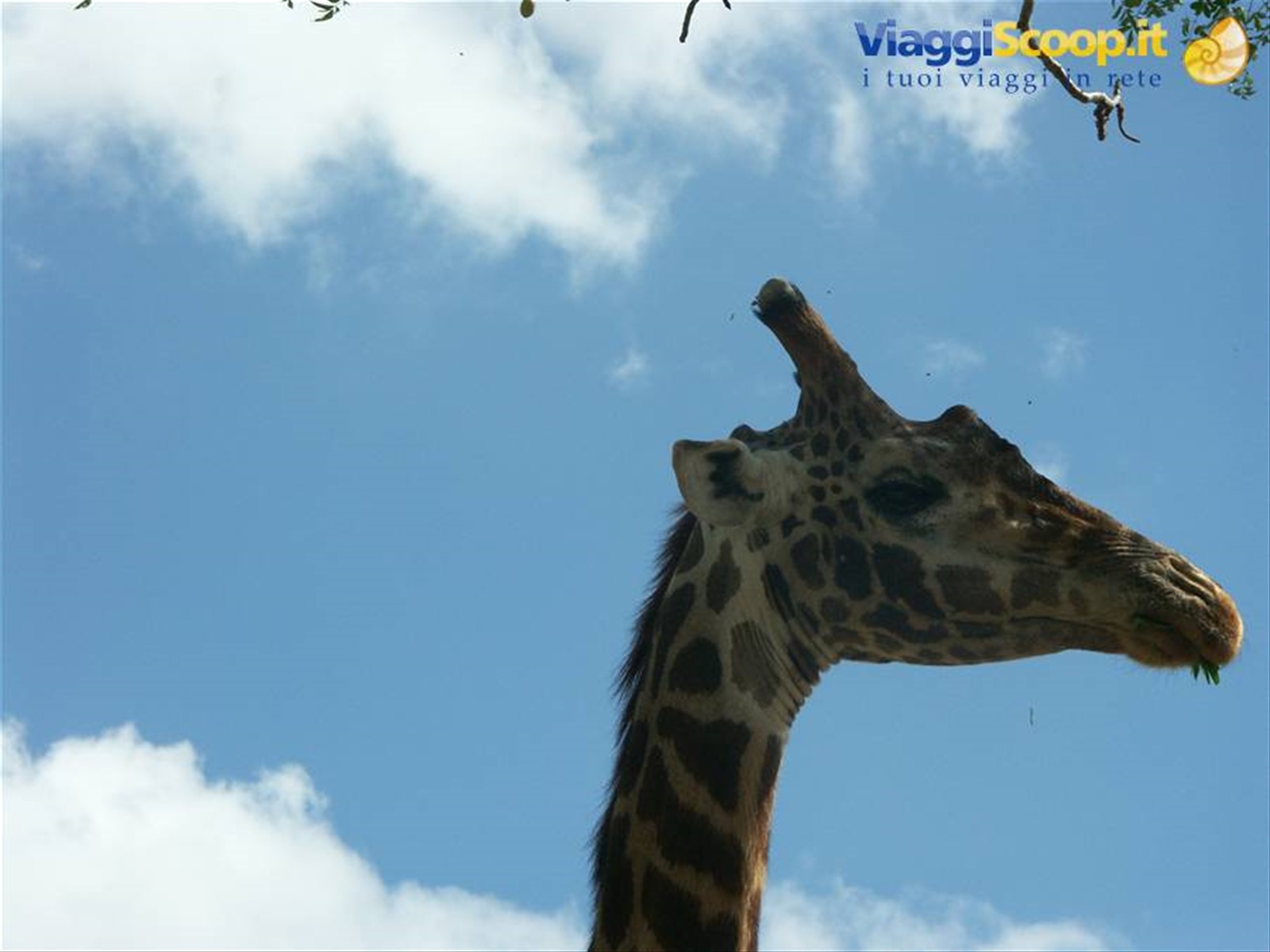 Foto di viaggio in KENYA