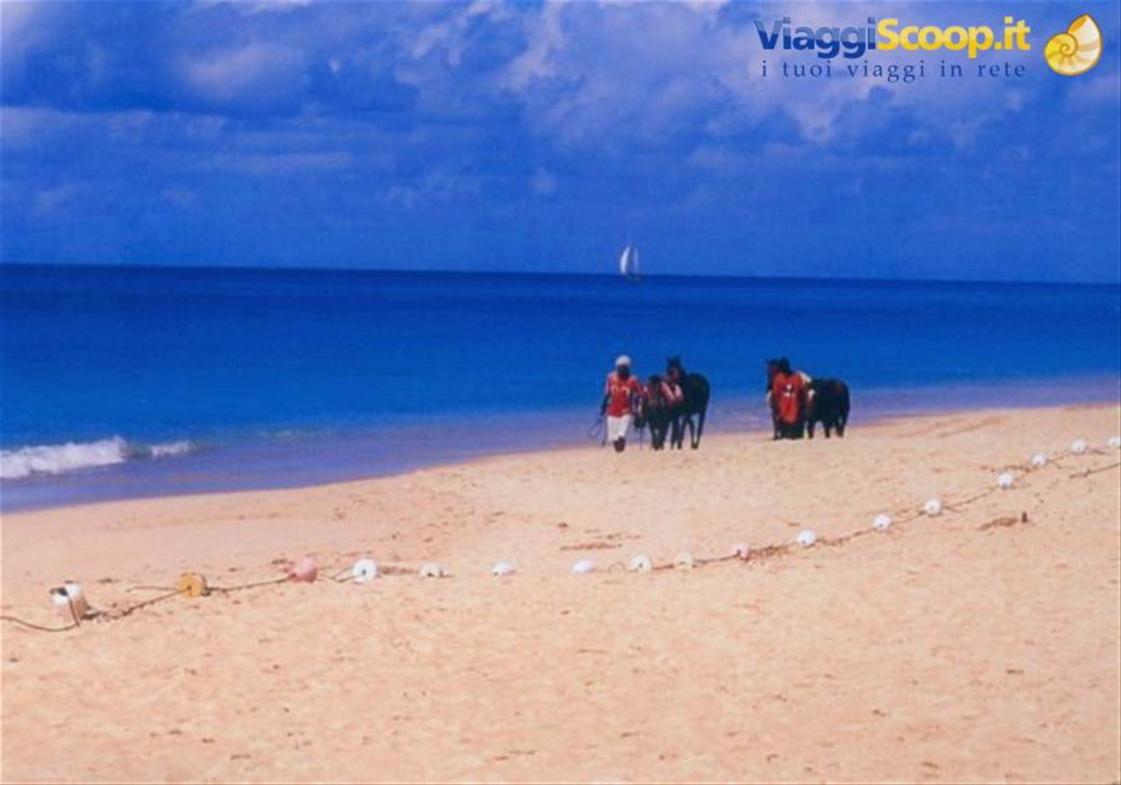 Blu caribe