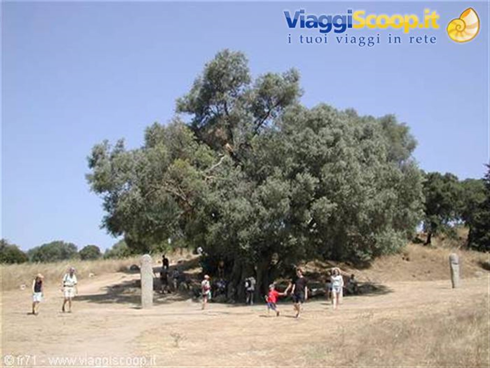 SCAVI ARCHEOLOGICI