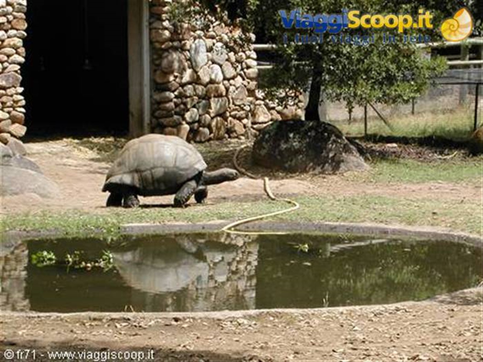 PARCO TARTARUGHE