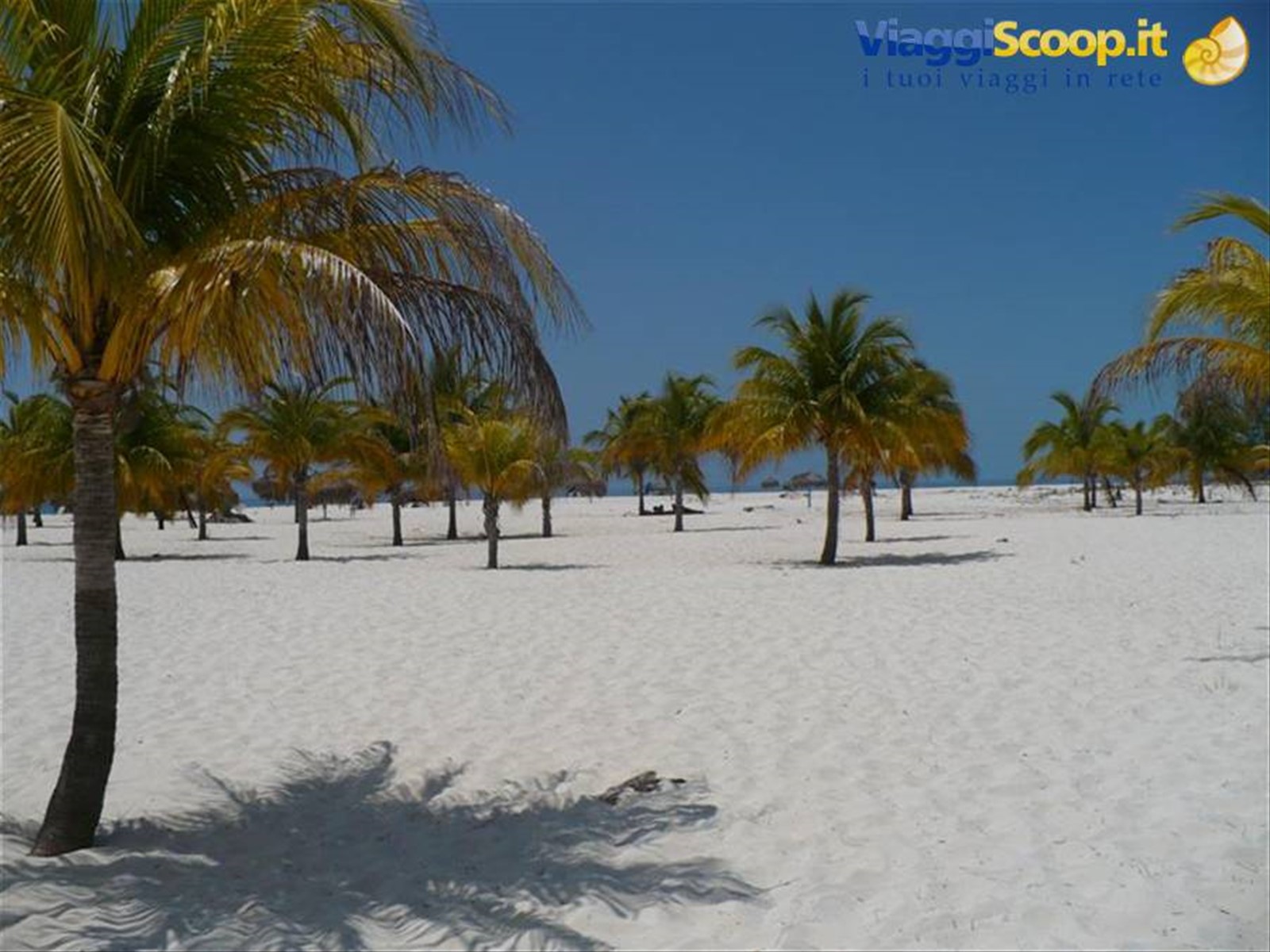 playa sirena