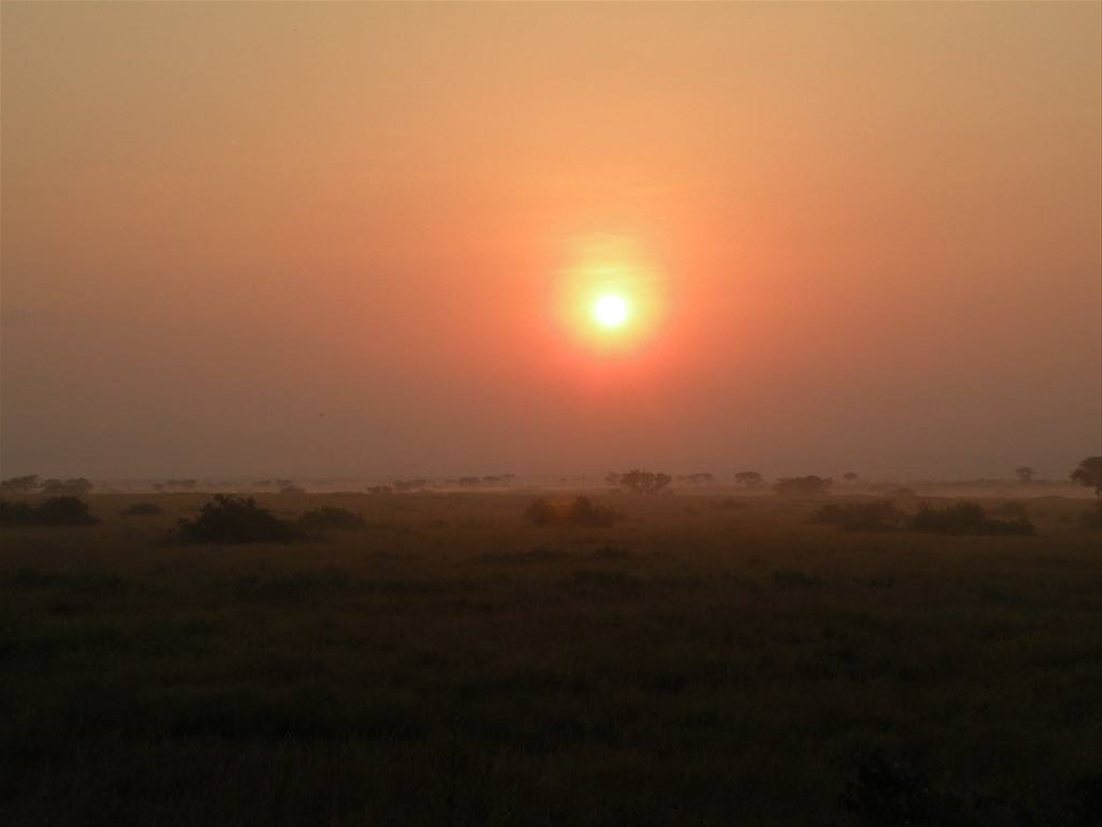 Finalmente Uganda