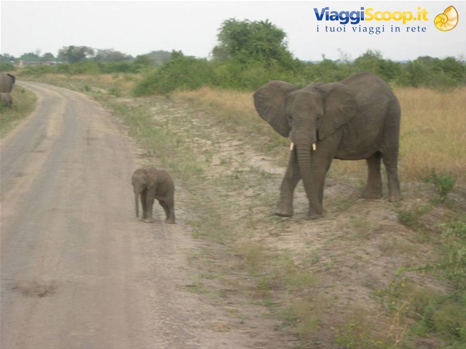 Foto di viaggio in UGANDA