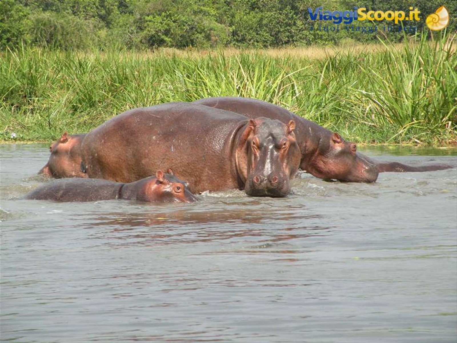 Foto di viaggio in UGANDA