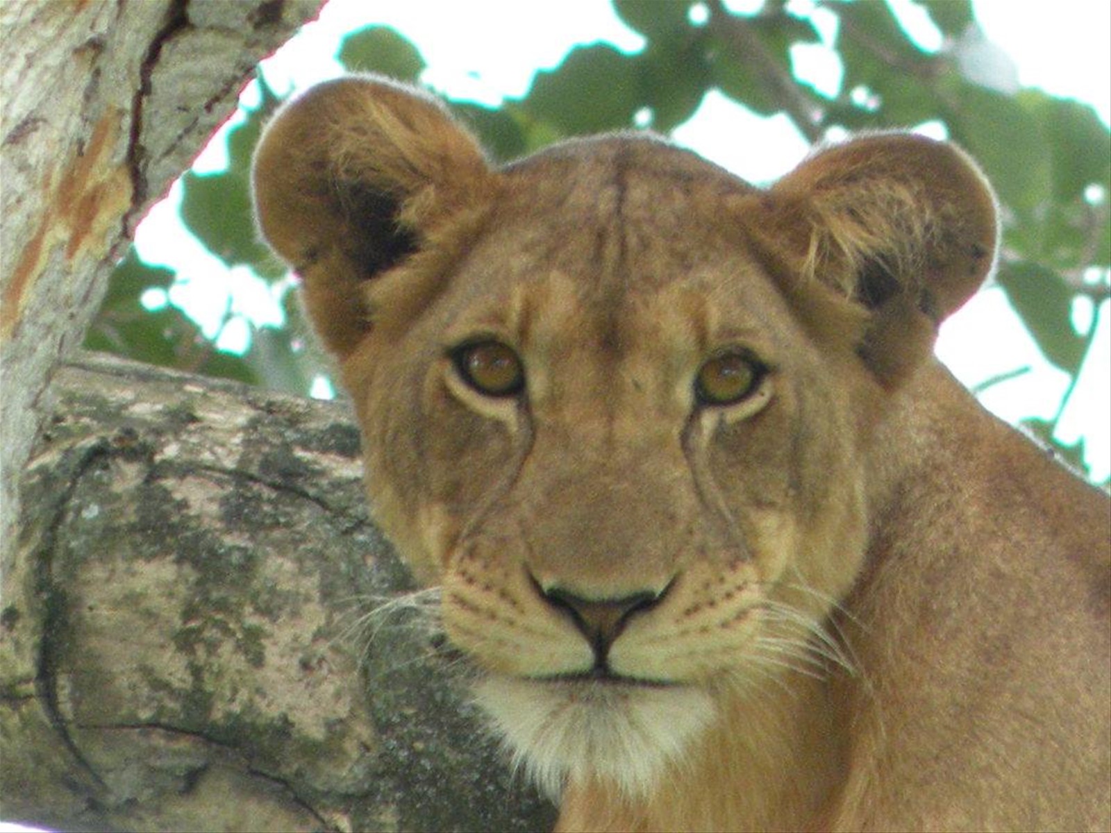 Foto di viaggio in UGANDA