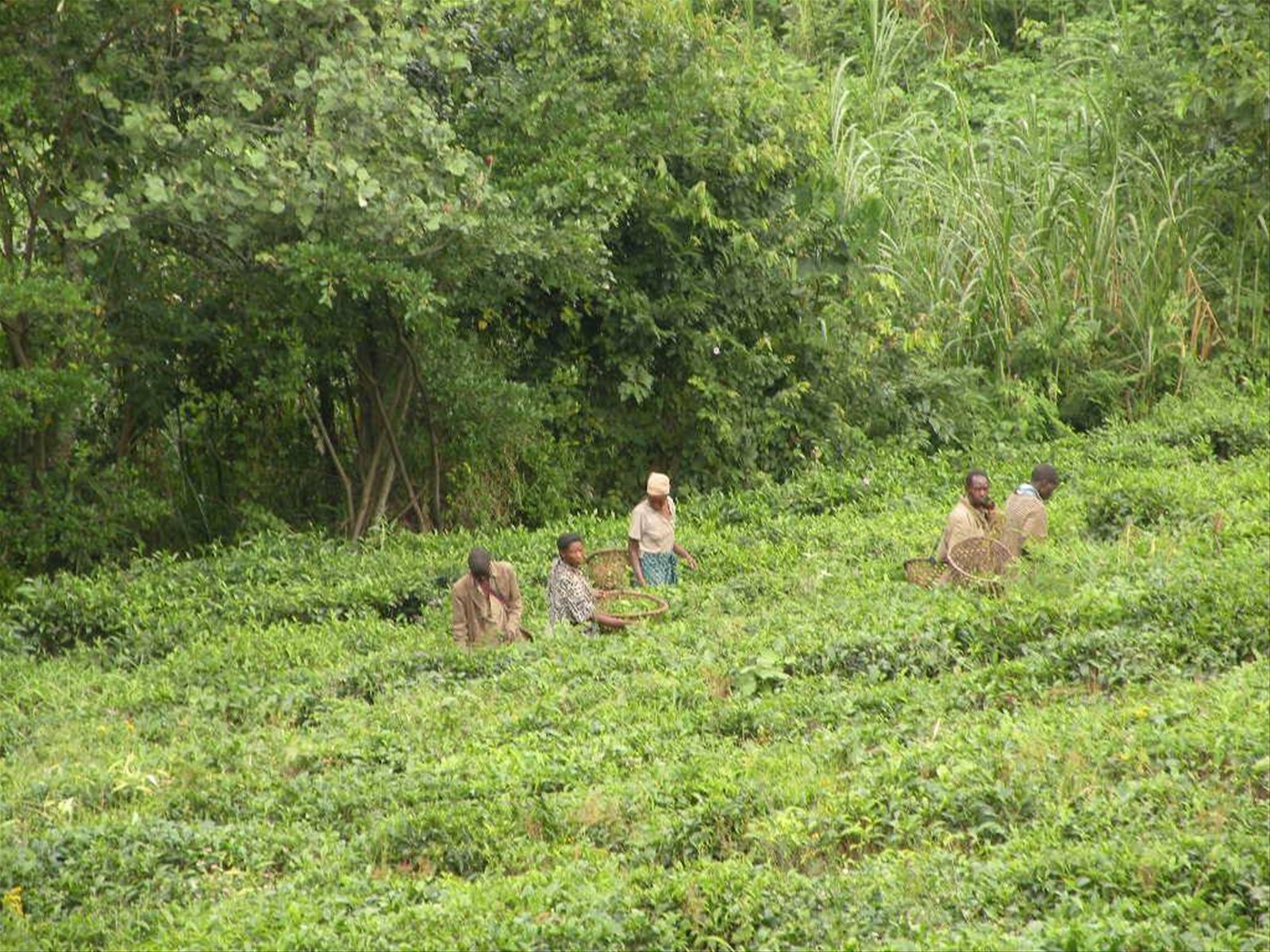Foto di viaggio in UGANDA