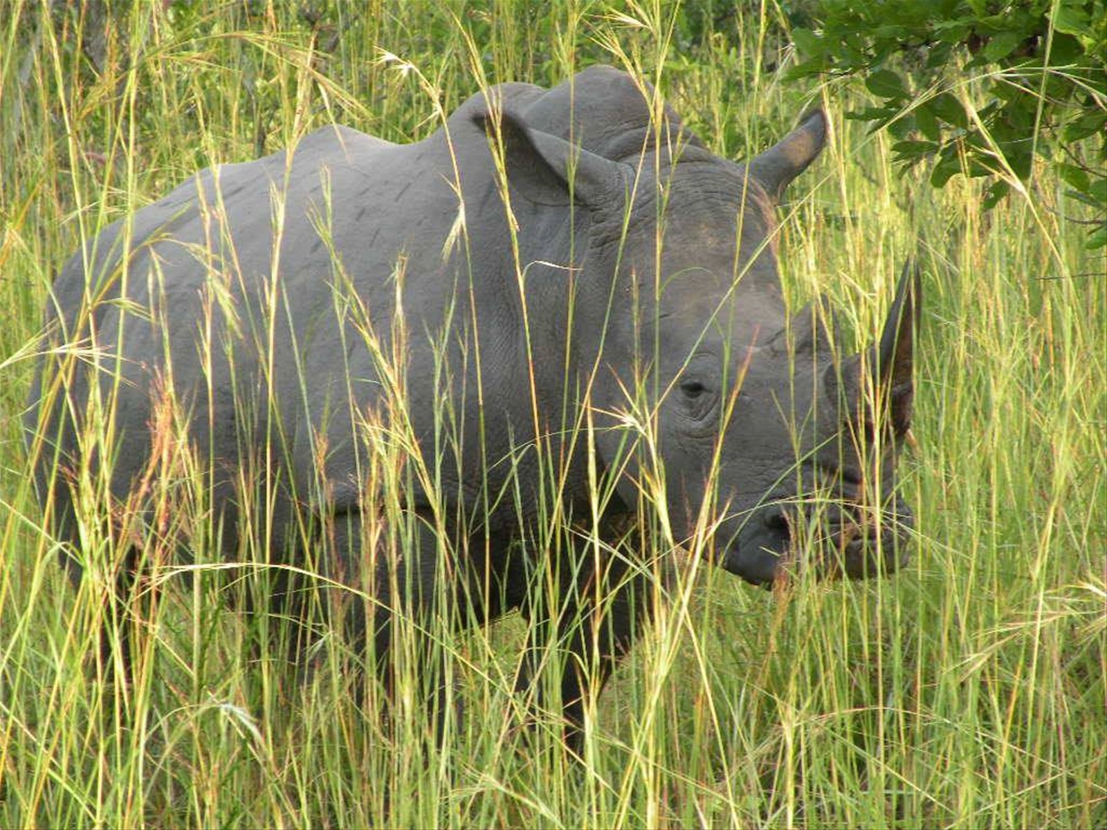 Foto di viaggio in UGANDA